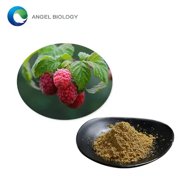 What Are the Key Bioactive Compounds in Raspberry Extract Powder?